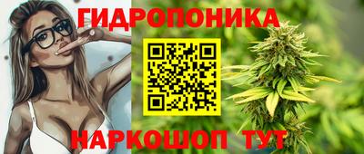 ПСИЛОЦИБИНОВЫЕ ГРИБЫ Аргун