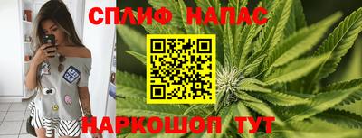 прущие грибы Донецк
