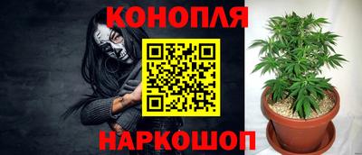 ГАЛЛЮЦИНОГЕННЫЕ ГРИБЫ Апшеронск