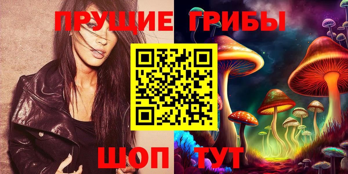 Галлюциногенные грибы Psilocybe Братск