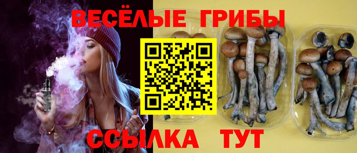 Братск  Галлюциногенные грибы прущие грибы  Вход с VPN 
